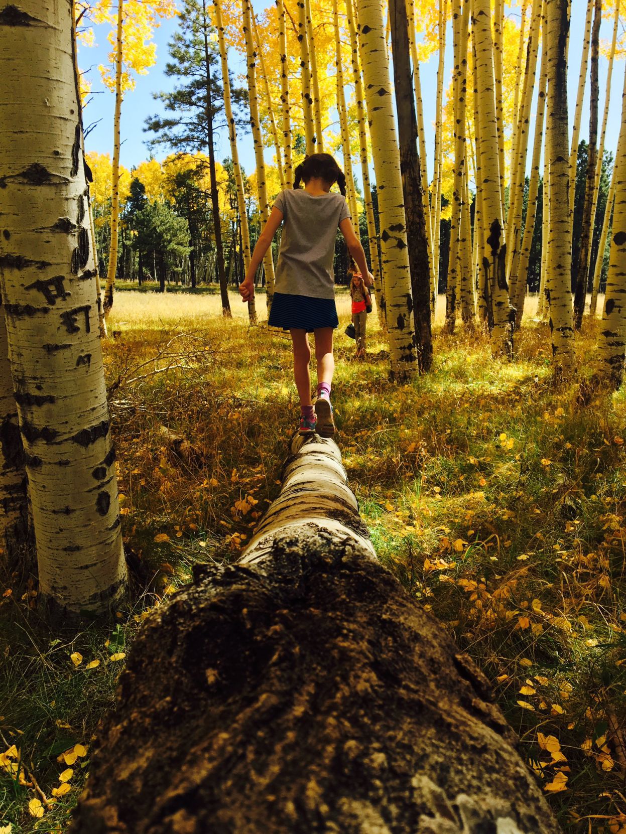 Girl on a log